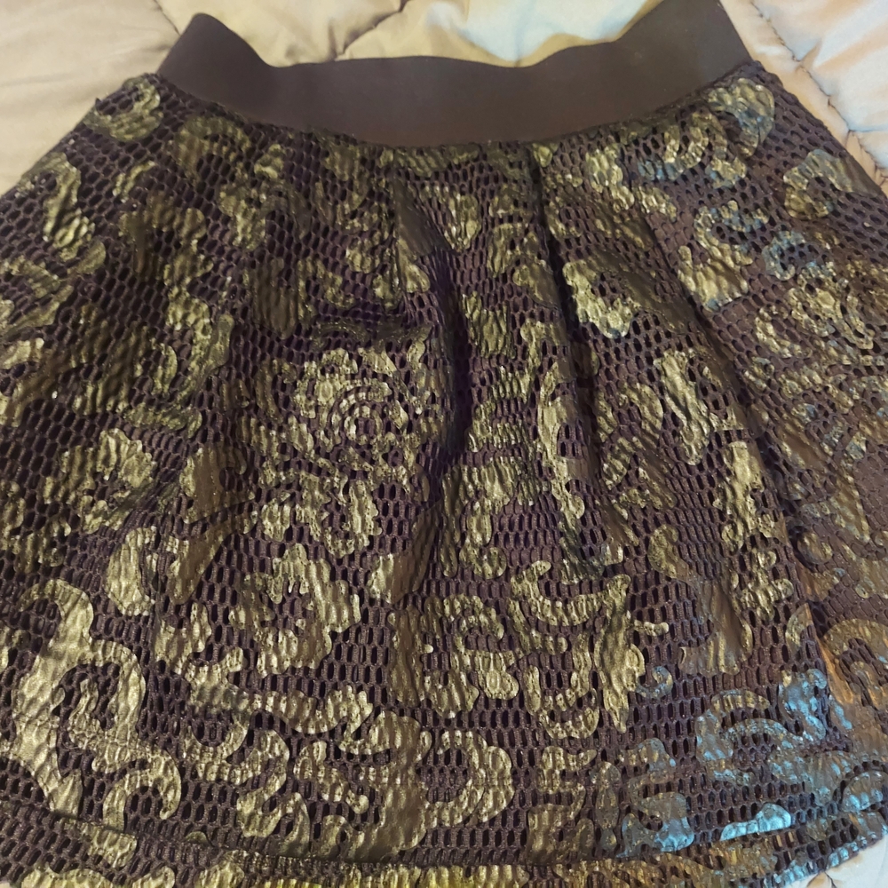 Express Lace Skirt
